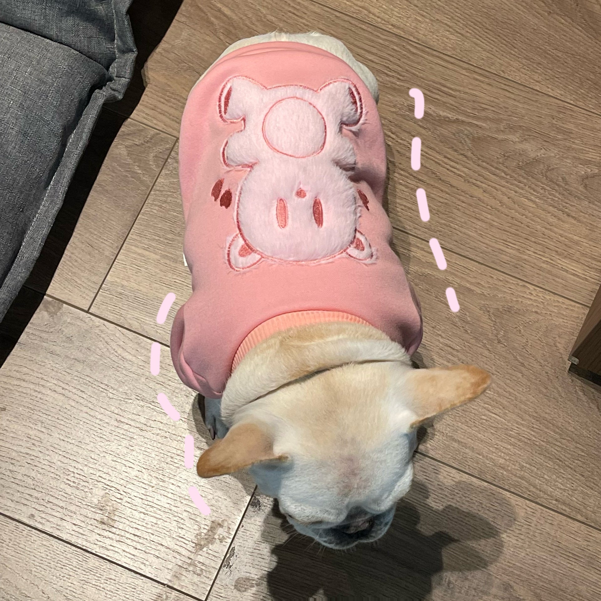 Maglione Cane Rosa Coniglietto - Felpa Bulldog Cuori