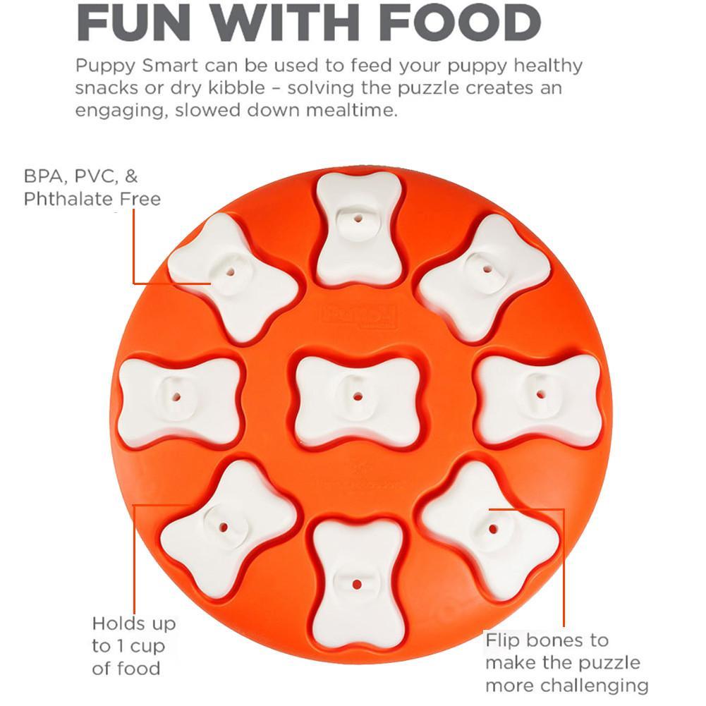 Dog Puzzle with Perforated Caps: The Smart Game That Stimulates Your Four-Legged Friend's Mind