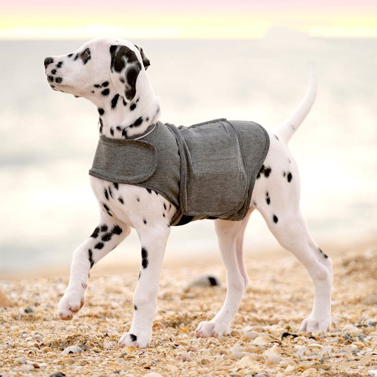 Maglia grigia avvolgente con chiusura in velcro per ridurre l’ansia del cane - Dog Moda