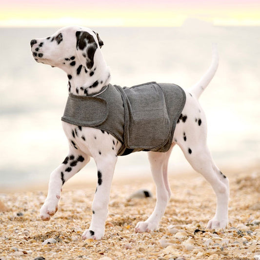 Maglia grigia avvolgente con chiusura in velcro per ridurre l’ansia del cane