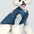 Camiseta Perros Caniche - Chaleco Coordinado Elástico