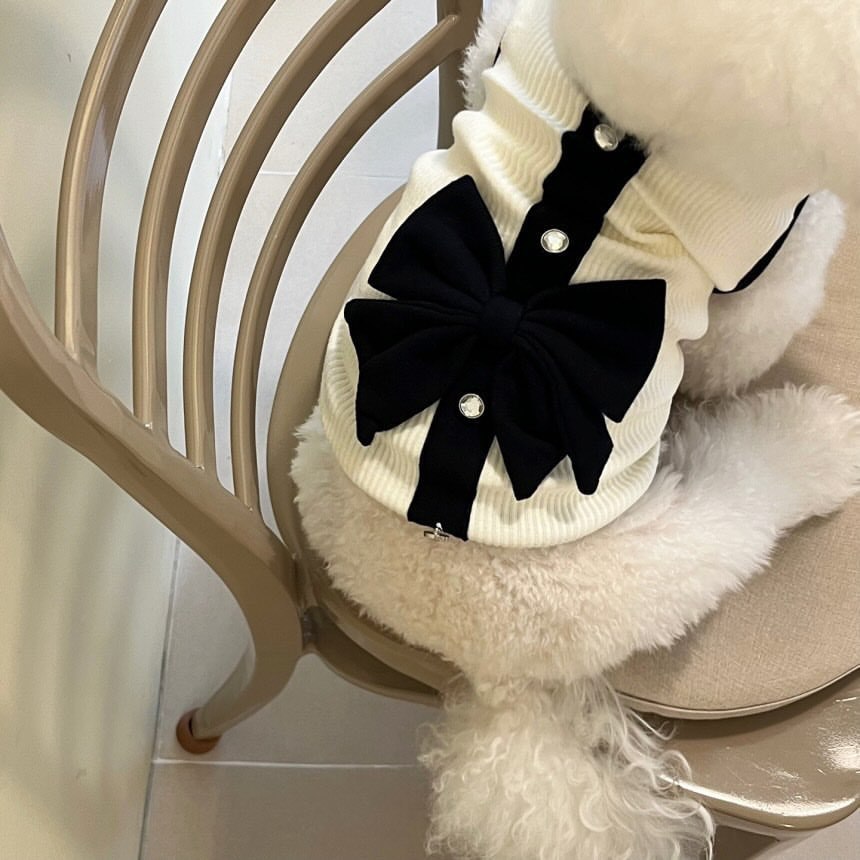 Vestito elegante stile Chanel per cani, perfetto per matrimoni e cerimonie - Dog Moda