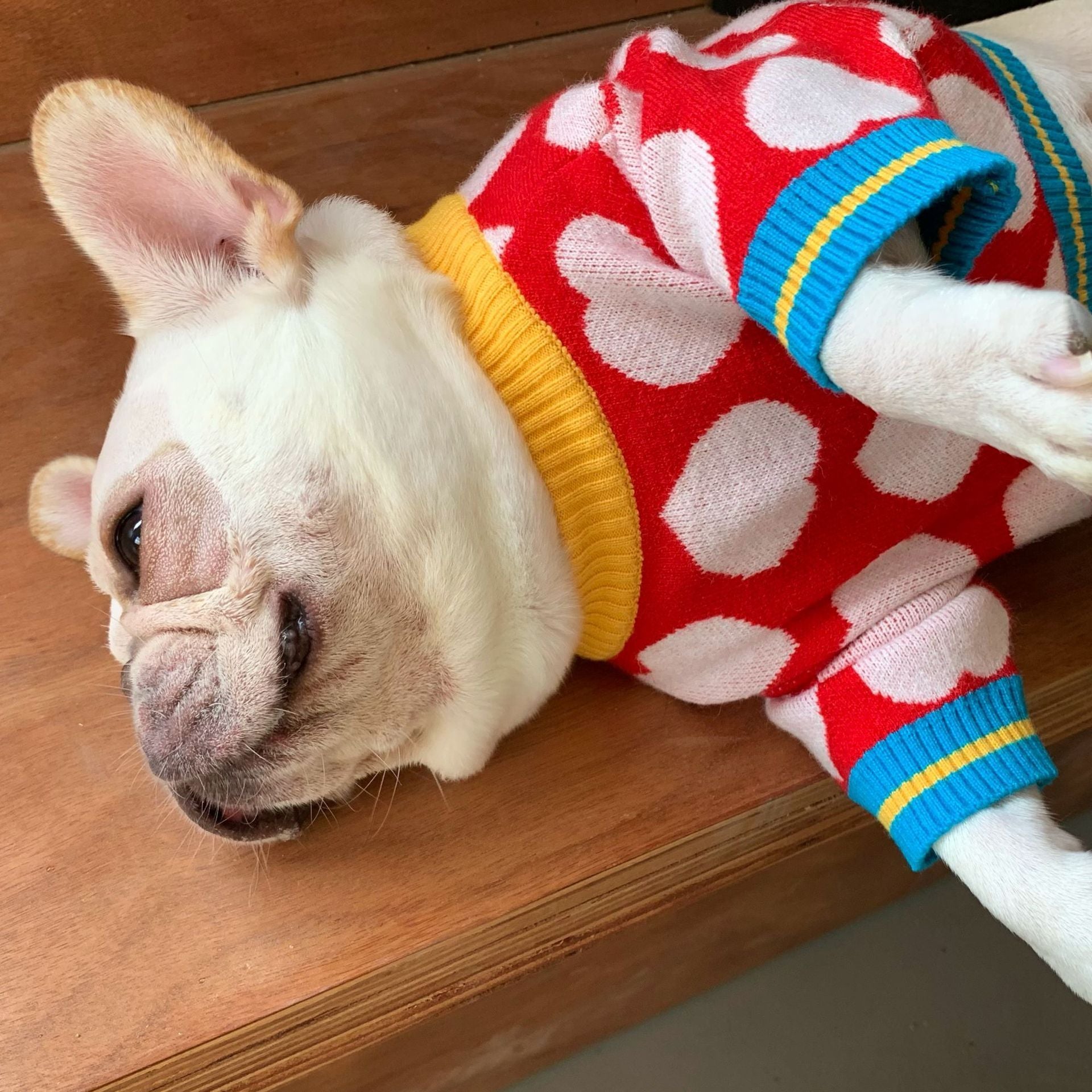 Maglioncino "Rubacuori" per Bulldog e Altri Cani – Cuori Rossi per Scaldare il Tuo Pet con Stile - Dog Moda