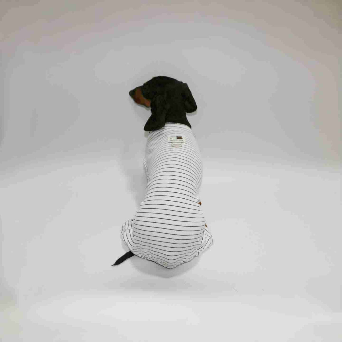 Tutina Bassotto a Righe - Copertura 4 Zampe per Corpi Allungati by Dog Moda