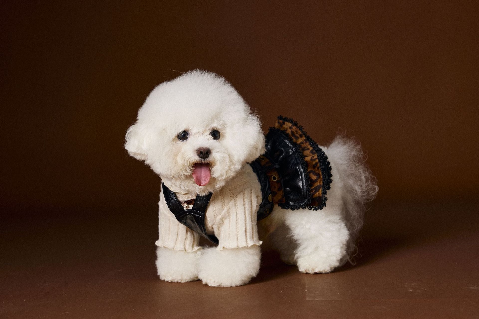 Elegant Buttons Dog Dress - Bow on Collar