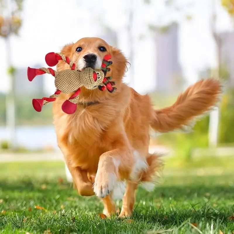 Christmas Dog Toys – Interactive, Squeaky &amp; Great for Chewers
