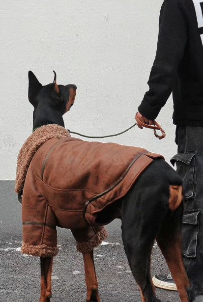 Giacca Jeans per Cani con Collo in Pile - Caldo e Stiloso
