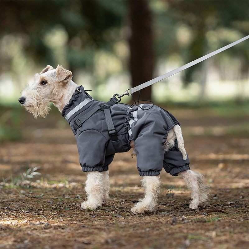 Cappotto per cani con pettorina riflettente e colletto antivento