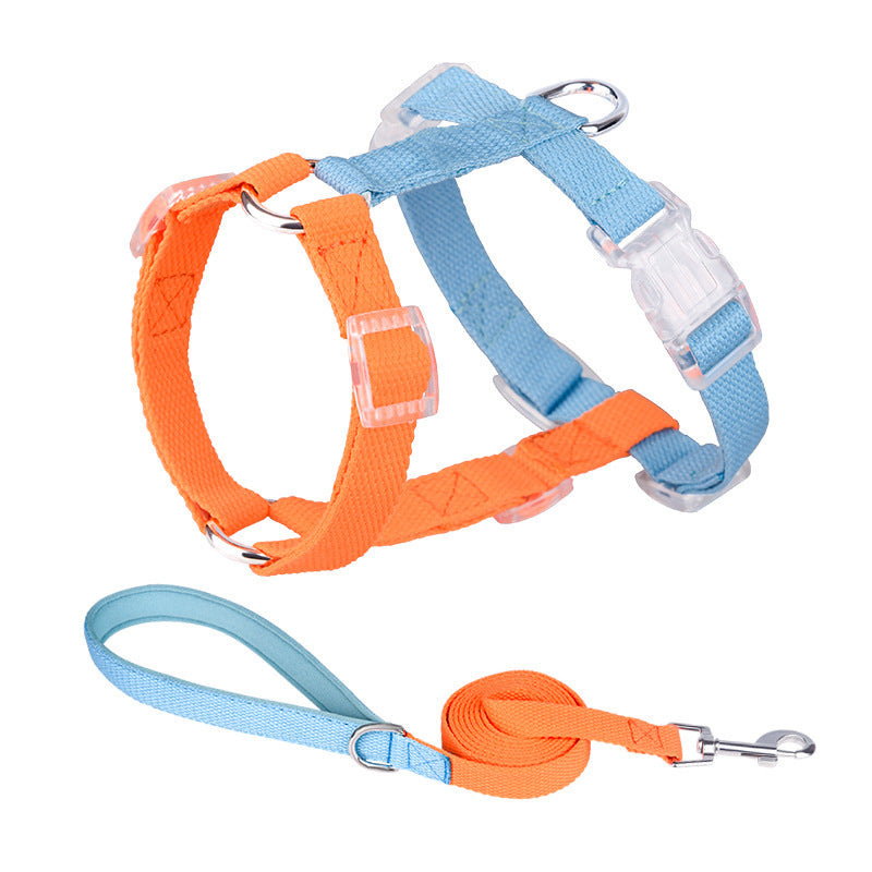 H "Color Rainbow" Leash and Harness Set