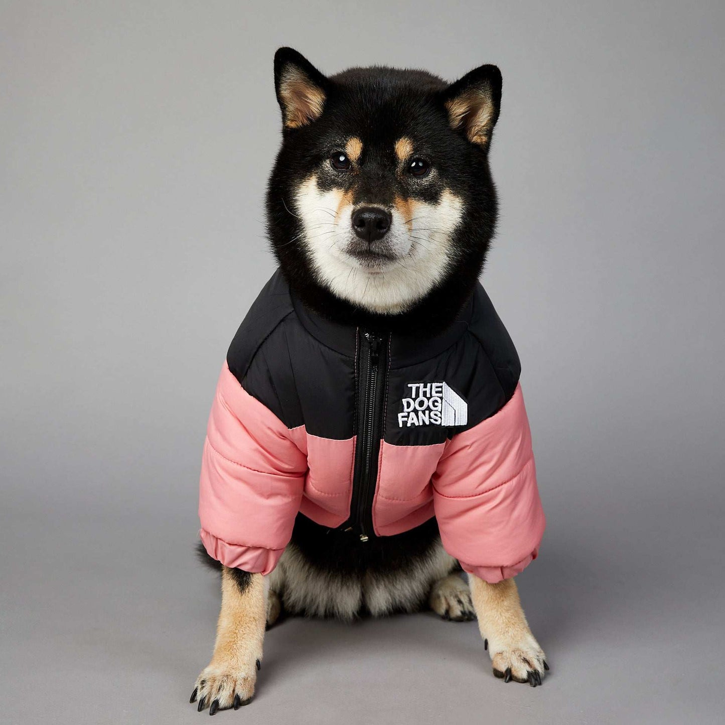 Giacca Invernale per Cani The Dog Fans - Impermeabile e Antivento