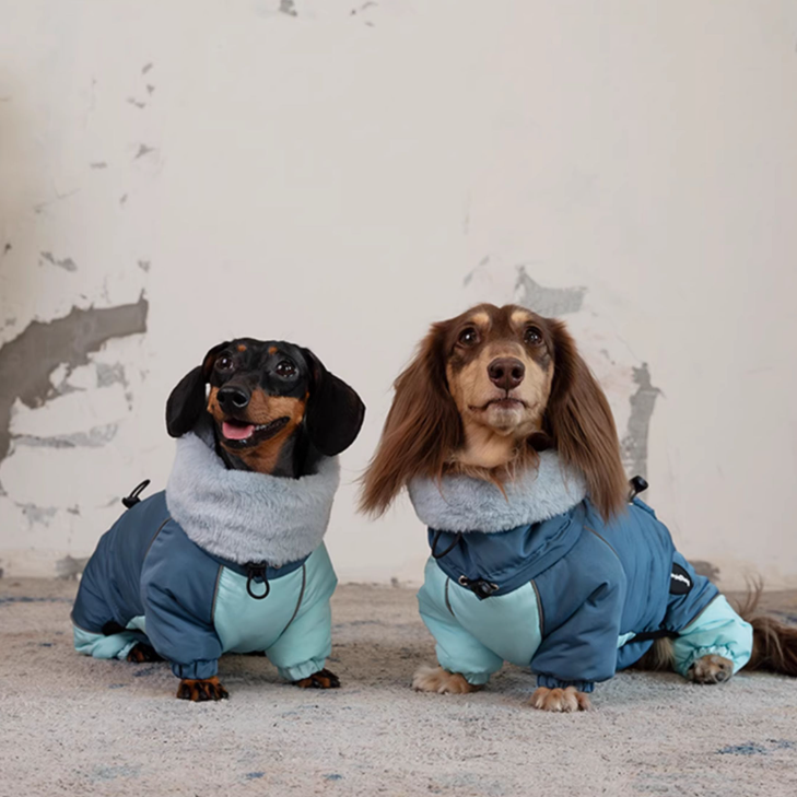 4-Legged Dachshund Padded Coat - High Fleece Collar