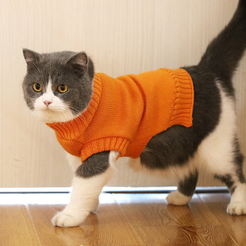Cat Sweater – Soft, Warm and Available in Many Patterns