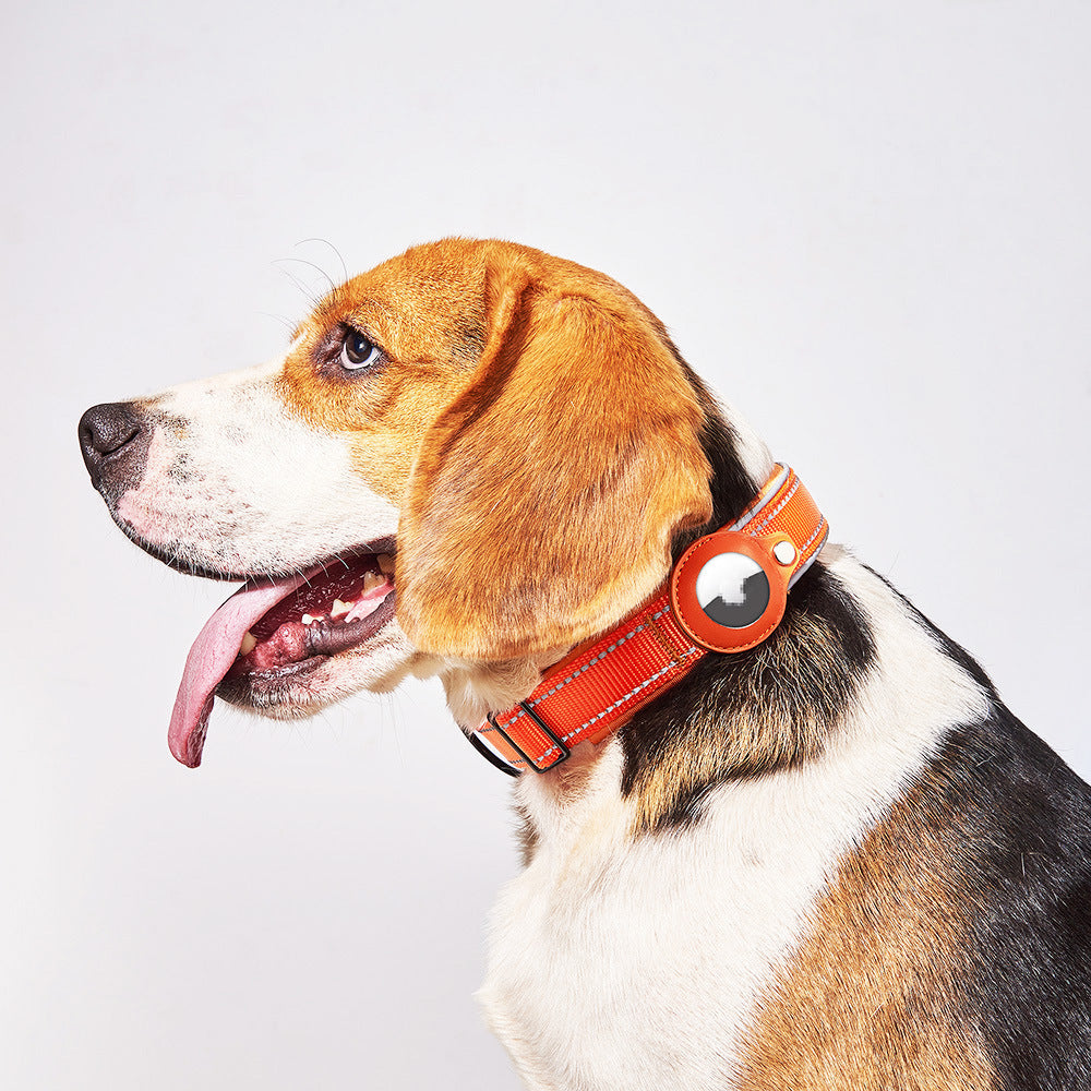 Collare Cani con Alloggio AirTag - Nylon Regolabile