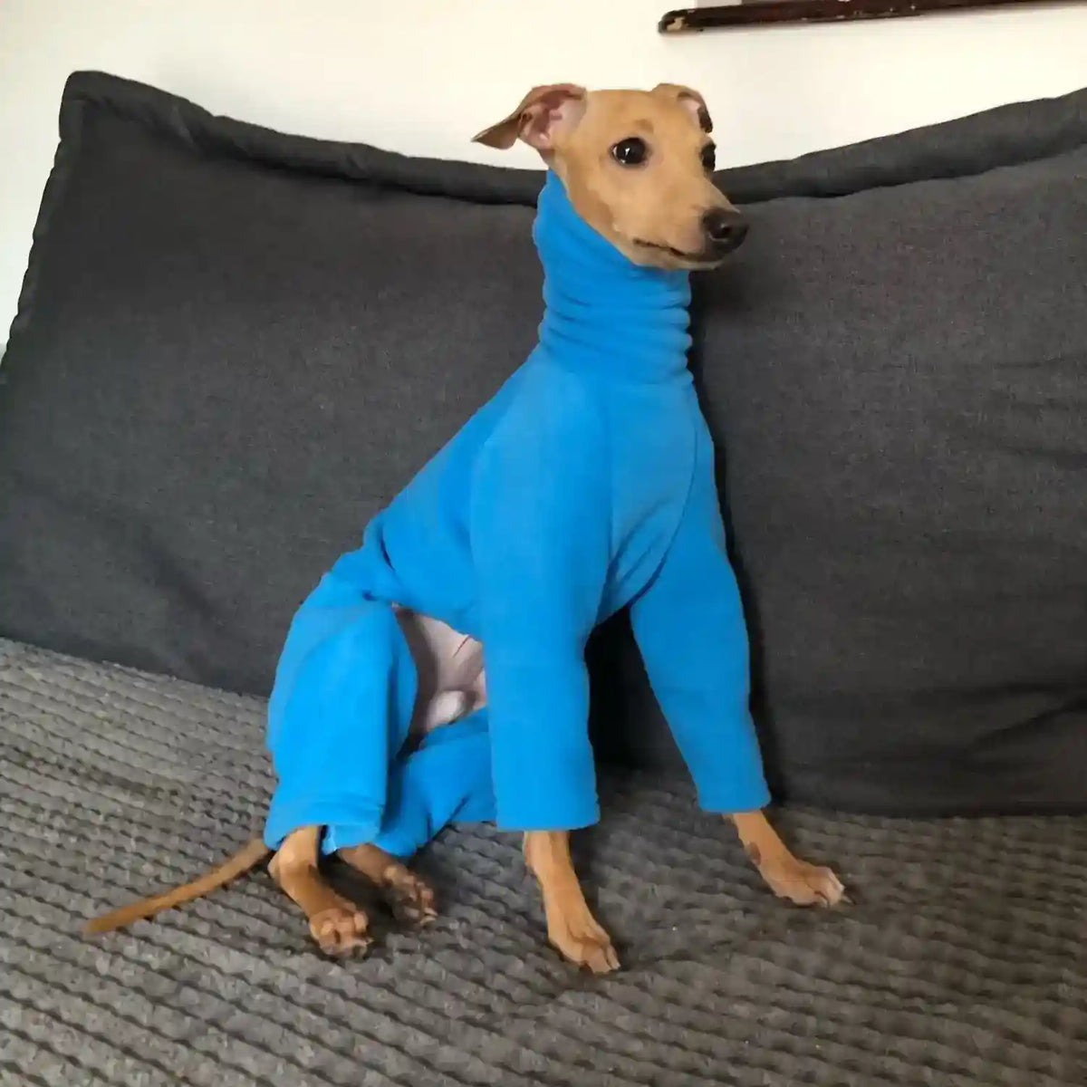 Tutina in Pile per Cani 4 Zampe - Pile Doppio Faccia Caldo e Morbido by Dog Moda