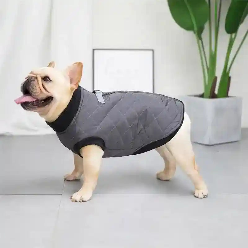 Cappottino Dot per Cani - Chiusura Dorso e Anello Guinzaglio by Dog Moda