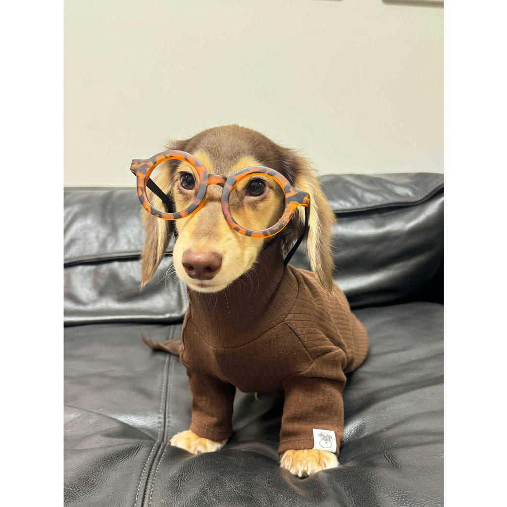 Jersey de Cuello Alto para Perros y Gatos - Algodón Suave Insta-Style