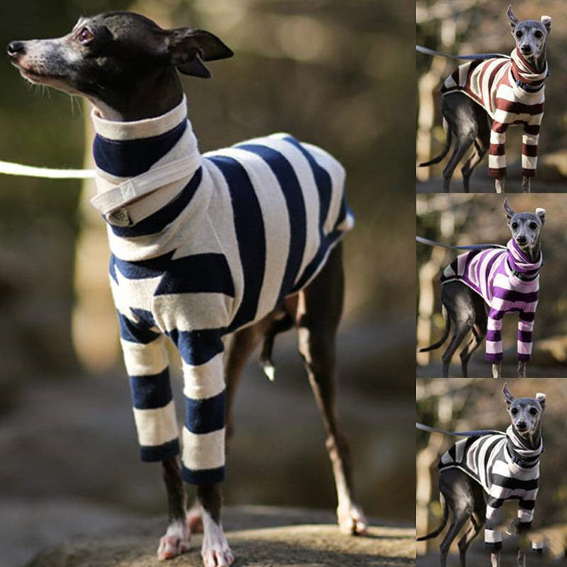 Greyhound Striped Medium Large Dog Sweater