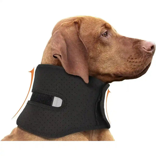 Collare Ortopedico per Cani - Supporto Cervicale Forte Antileccamento by Dog Moda
