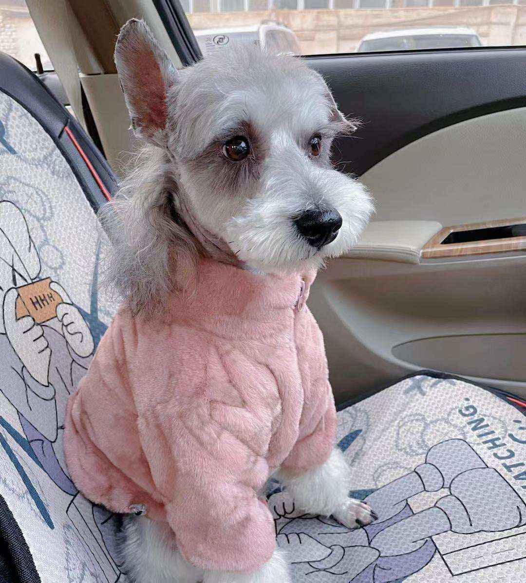 Cappotto pelliccia per cani “Nordik” – Elegante e Caldo