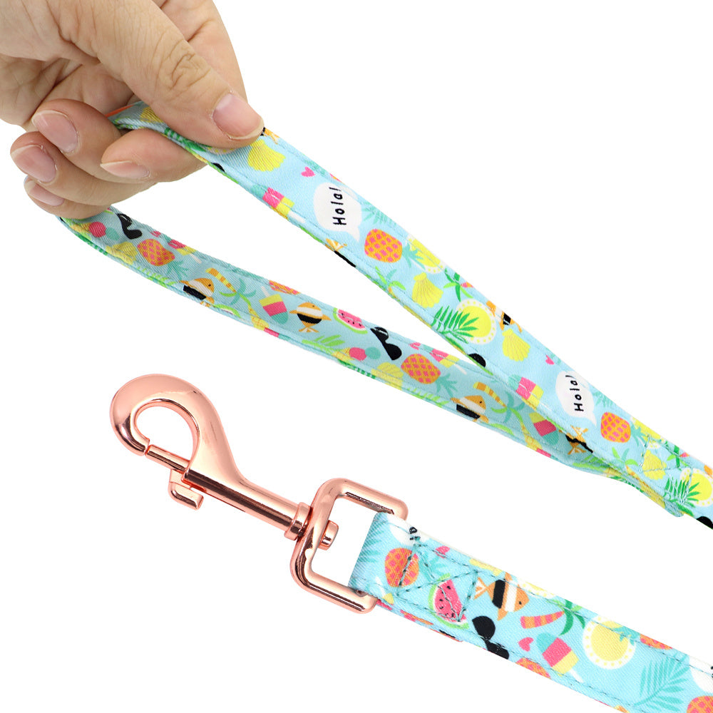 Hundegeschirr "Summer" Komplettset mit Halsband - Cheepet