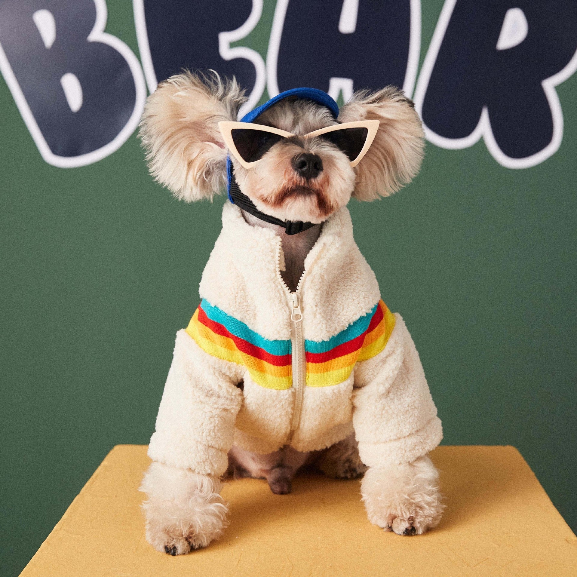 Bear Dog Fleece Coat - Multicolored Stripe Zip