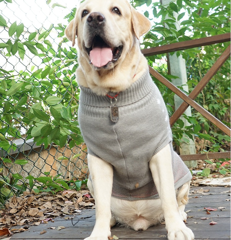 "Lulu" Large Dog Sweater - Warm, Comfortable and Casual Style