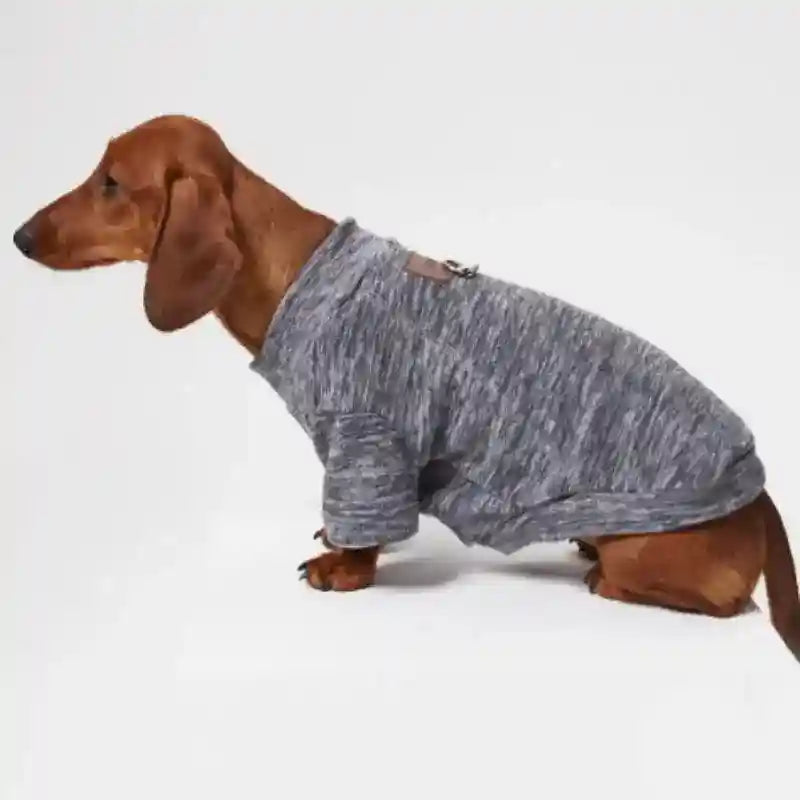 Felpa Fashion per Cani con Anello Pettorina - XS a 6XL by Dog Moda
