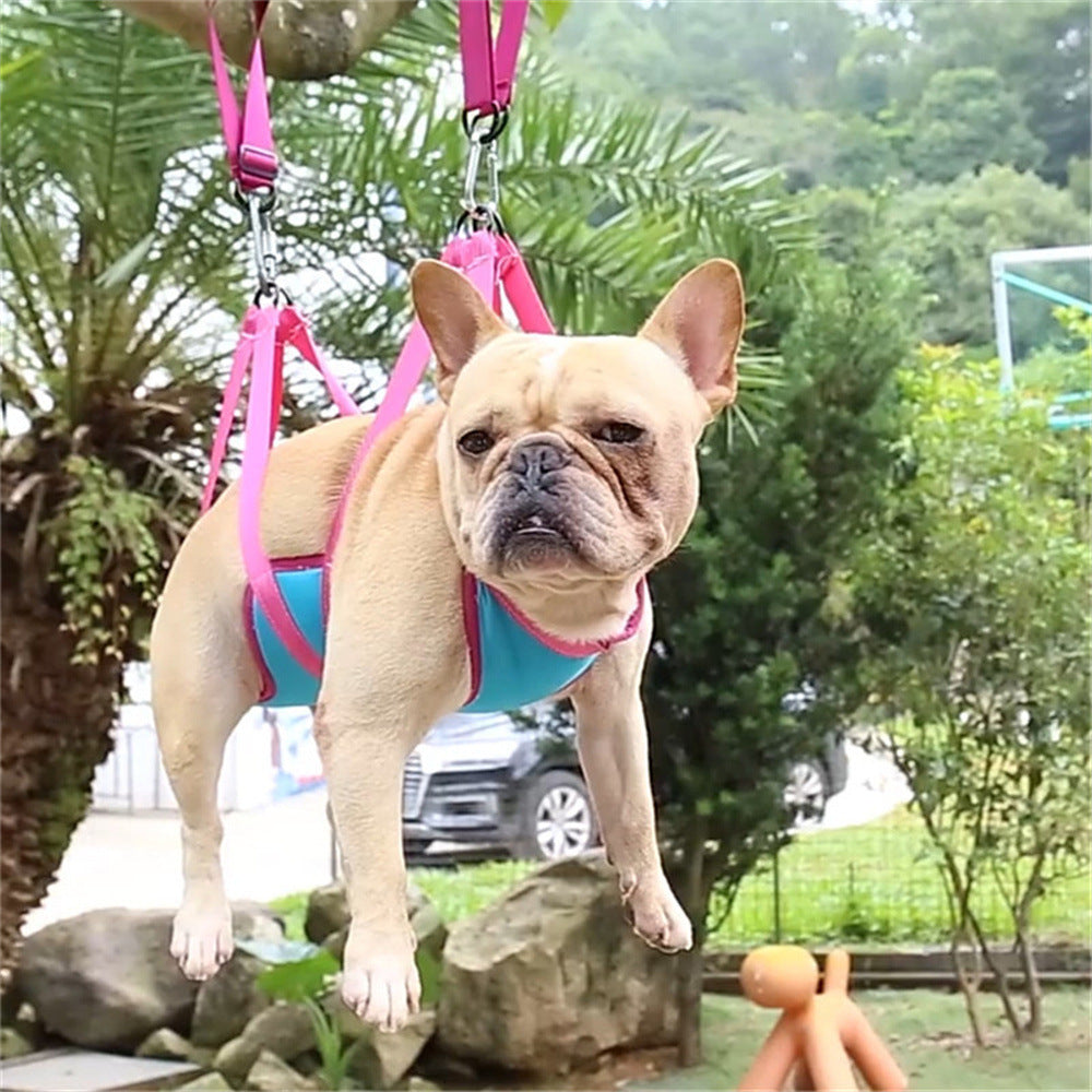 Dog and cat hammock with dog nail trimming grooming set