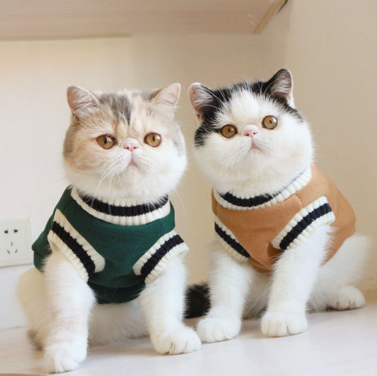Maglioncino Smanicato per Gatti - Caldo e Comodo by Dog Moda