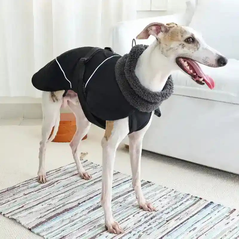 Abrigo para Perro DogLemi Impermeable Acolchado de Forro Polar