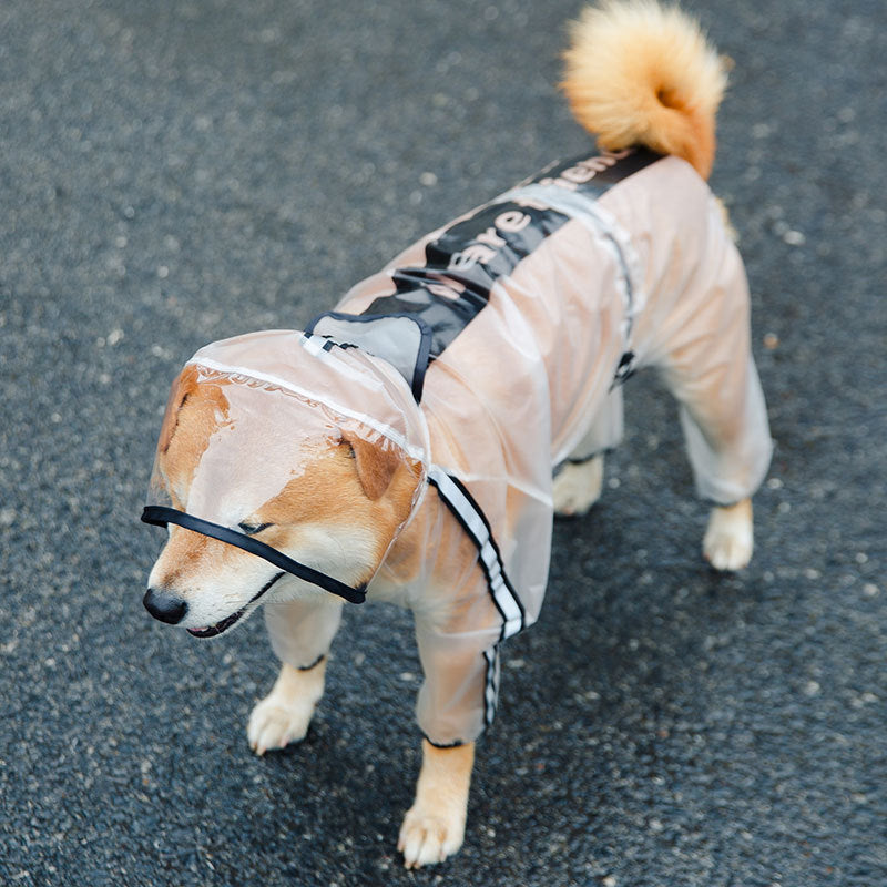 Impermeabile Trasparente con Visiera per Cani - Protezione Totale - Dog Moda