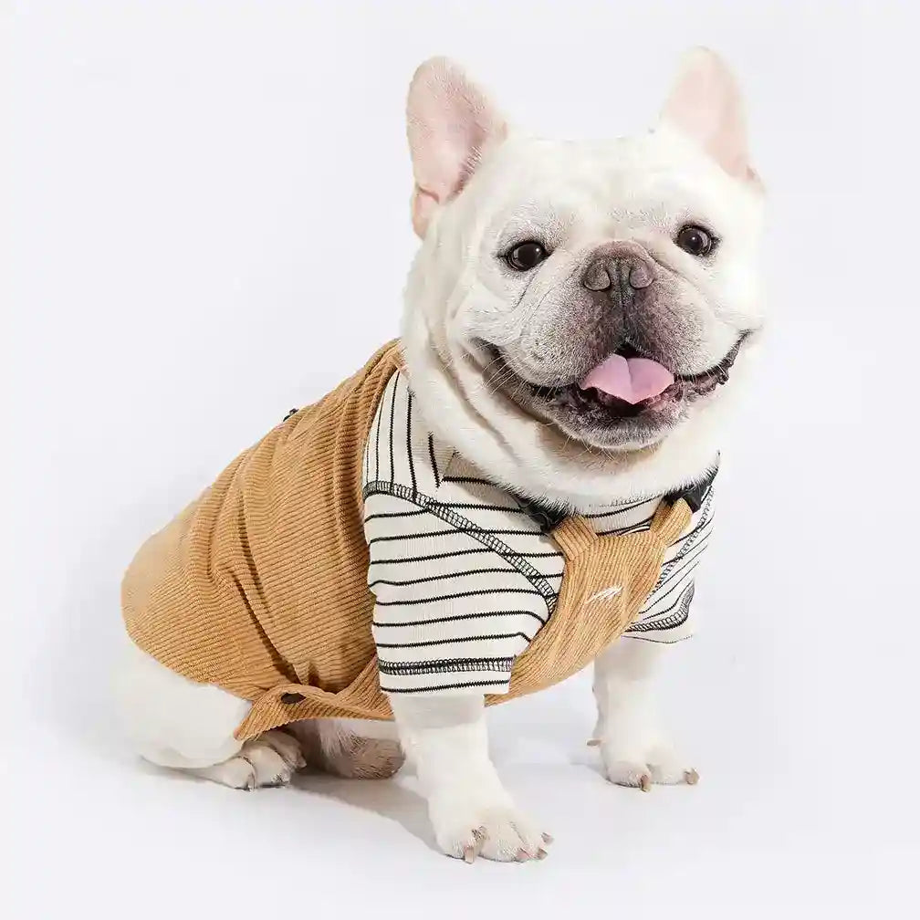 Salopette Moosipet Velluto Cani - Bretelle Taschina Beige by Dog Moda