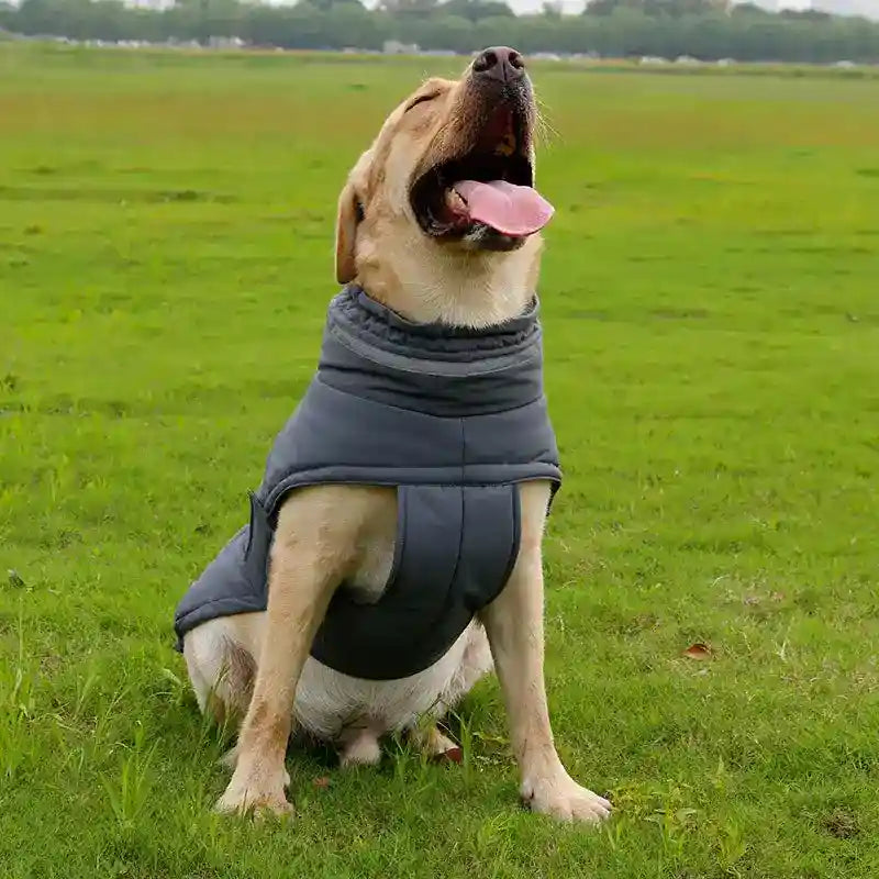 Abrigo impermeable para perros con velcro y detalles reflectantes