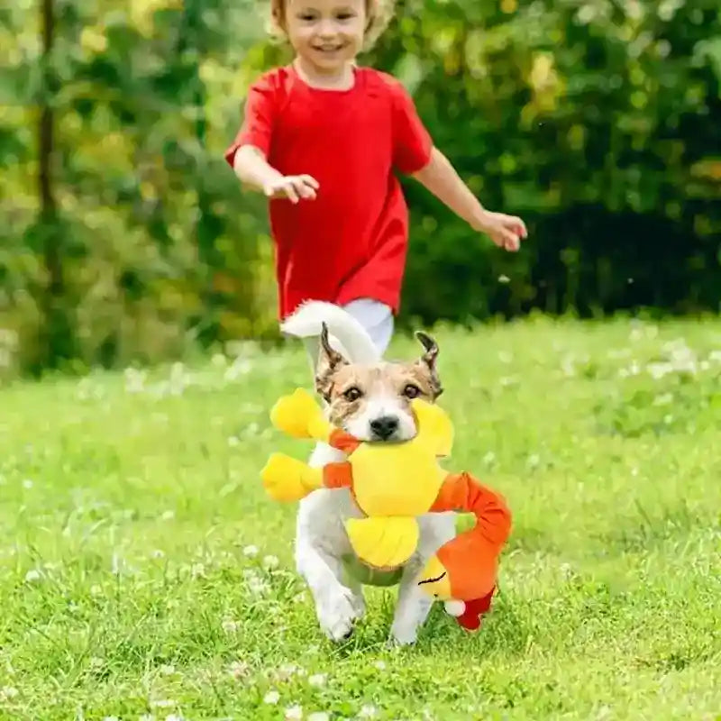 Peluche Uccellino Squeaky per Cani - 36cm Interattivo by Dog Moda