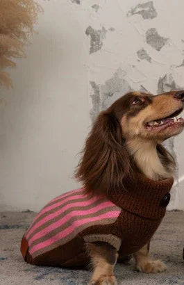 Wiene Day Turtleneck Dog Sweater - Warm and Trendy