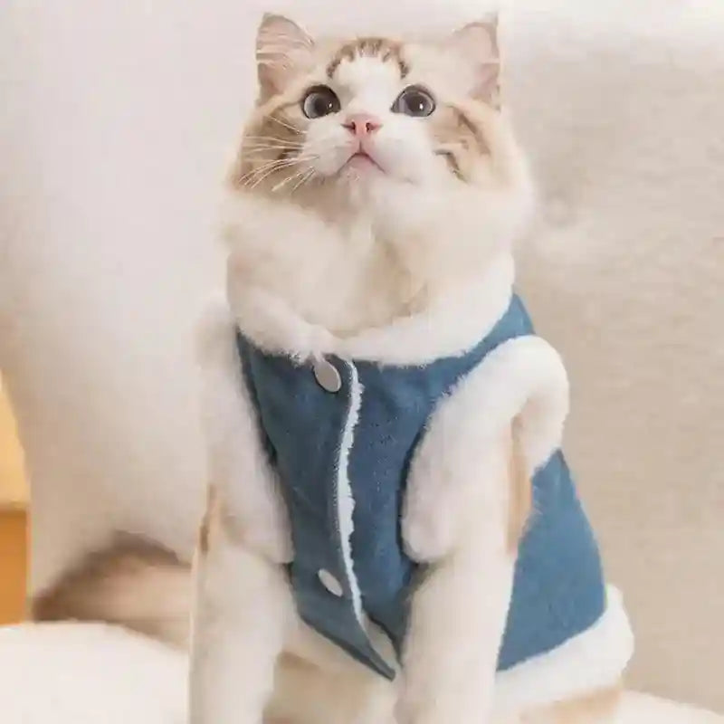 Gilet Pile Cani con Orsetto - Blu Jeans con Gancio Guinzaglio by Dog Moda