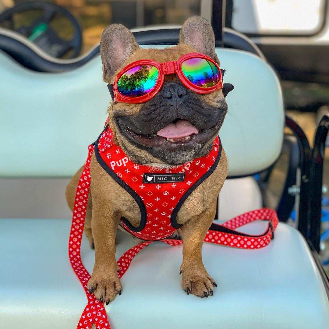 Red Pupreme Dog Harness and Leash Set "NicNic"