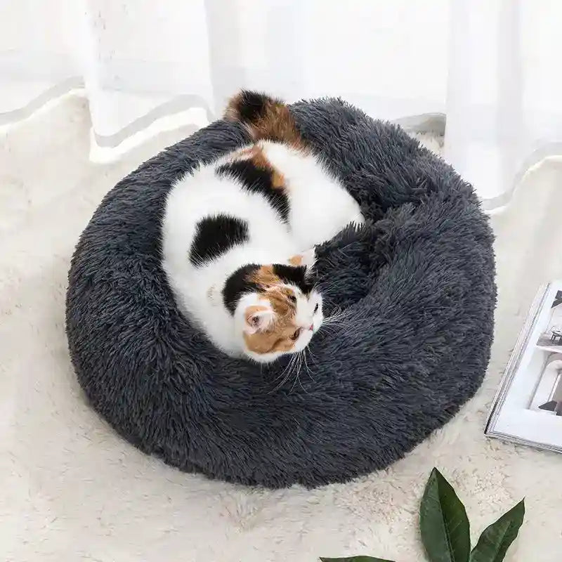 Cuccia Tonda Pile Cani Gatti Imbottita Antiscivolo by Dog Moda