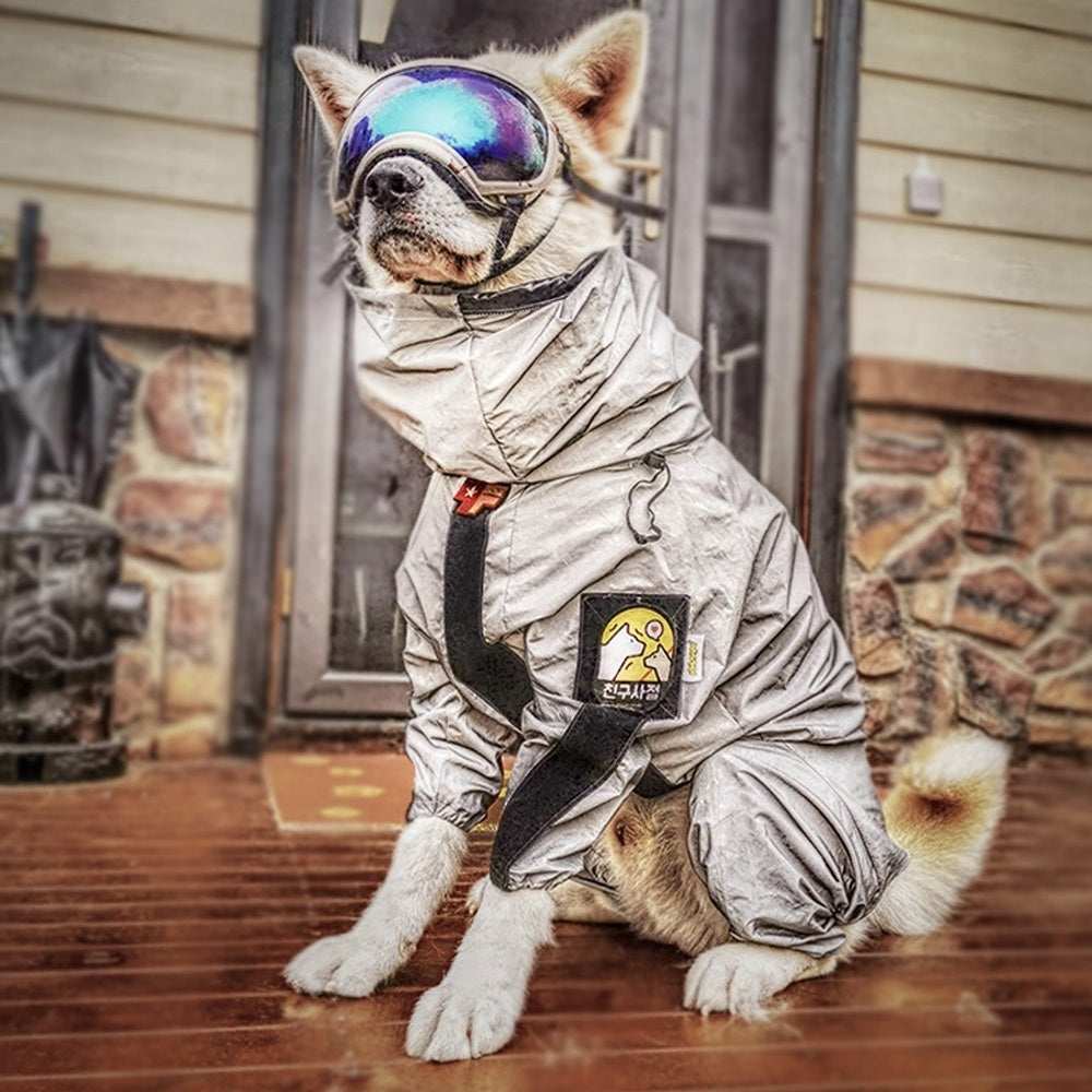 Raincoat for large dogs and Labrador "Rains"