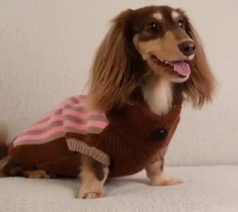 Maglione Cani Collo Alto Wiene Day - Caldo e Trendy by Dog Moda
