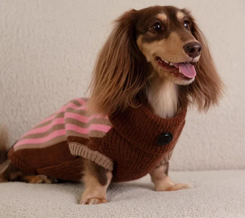 Wiene Day Turtleneck Dog Sweater - Warm and Trendy