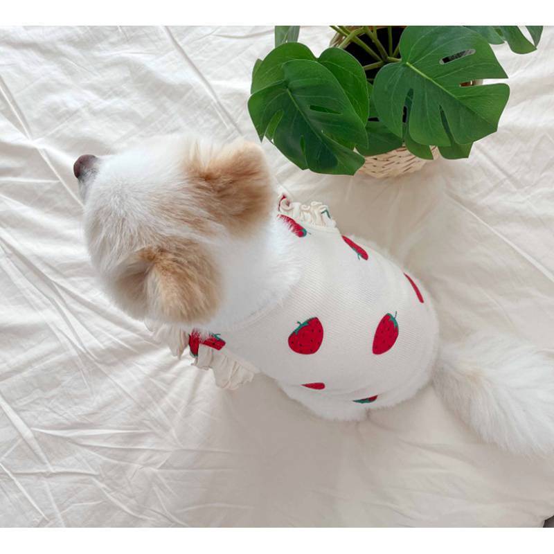 Maglia per Cani con Fantasia a Tinta Unita "Fragola" - Dog Moda