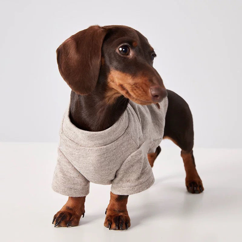 Maglia Tecnica per Cani - Leggera e Traspirante per Tutte le Stagioni