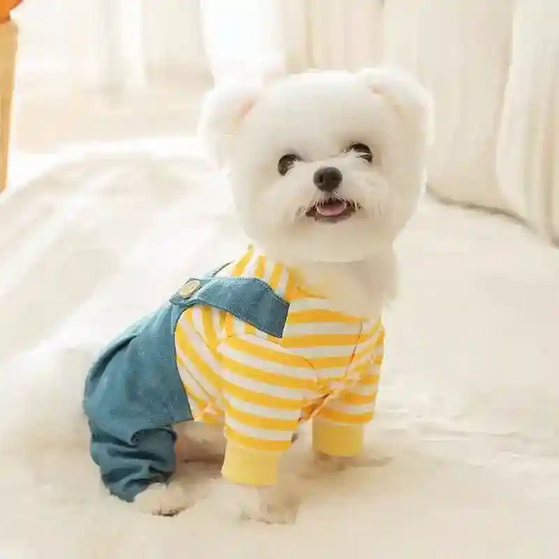 Salopette Jeans per Cani con Maglia a Righe - Tutina Cane by Dog Moda