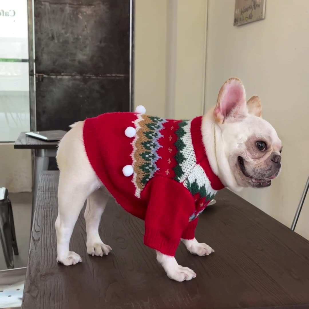 Red Dog Sweater with Christmas Embroidery and White Pom Pom