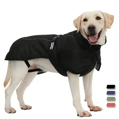 Cappotto per Cani Labrador "Atlanta" - Impermeabile, Sicuro e Riflettente by Dog Moda