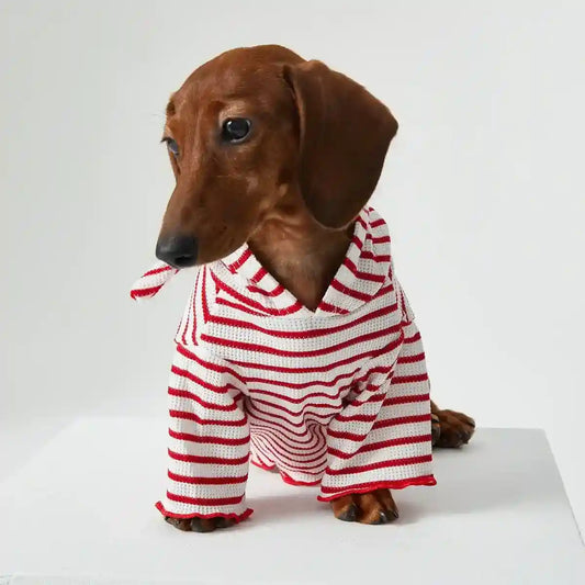 Maglia con Cappuccio per Cani e Gatti - Righe Rosse e Blu Traspirante by Dog Moda