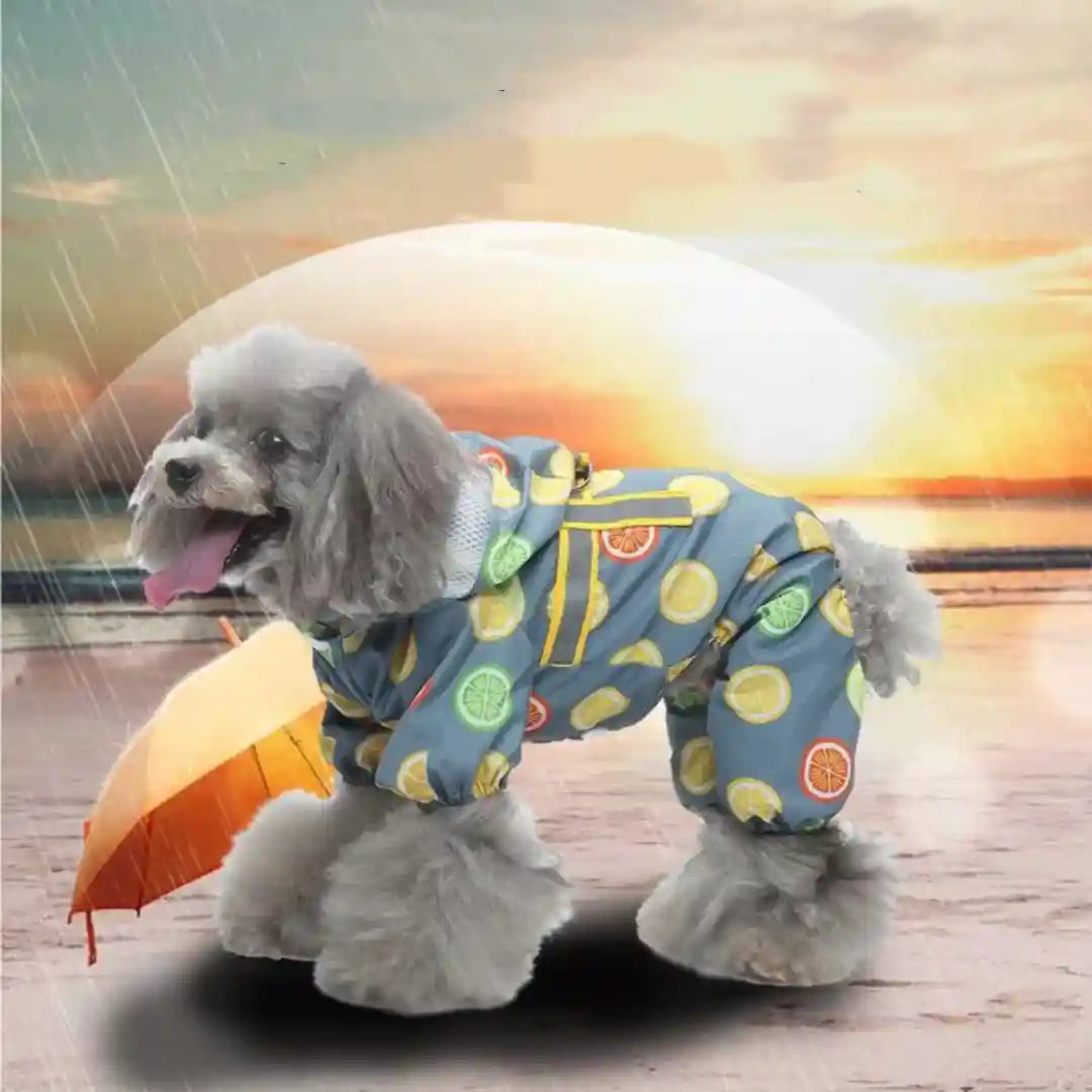 Impermeabile Cani con Pettorina e Cappuccio Integrati by Dog Moda
