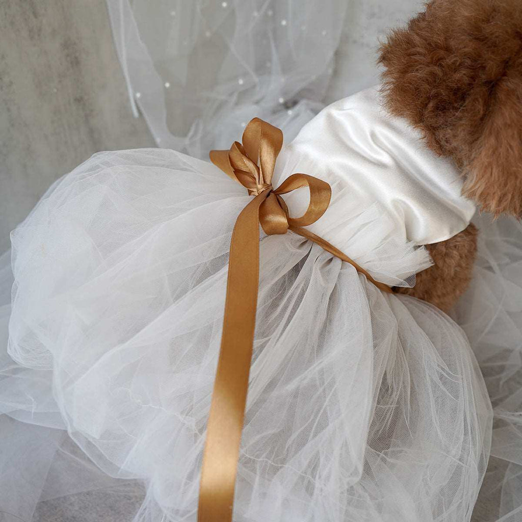 Vestito da Cerimonia per Cani Barboncino – Eleganza e Stile per Occasioni Speciali