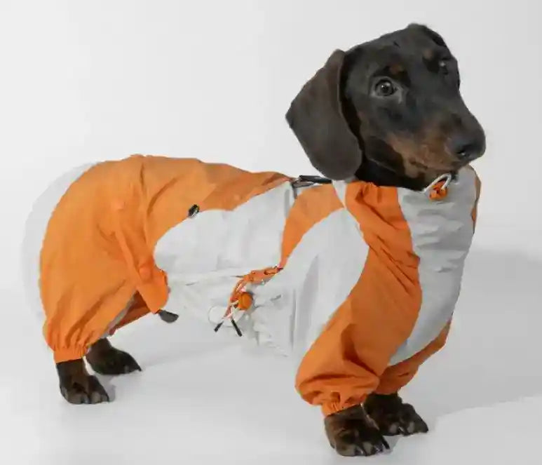 Impermeabile per Bassotto - Protezione Totale 4 Zampe Antipioggia by Dog Moda